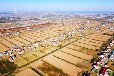 啟東鄉(xiāng)村游再登央視，沙地圩田文化與創(chuàng)新投資雙輪驅(qū)動